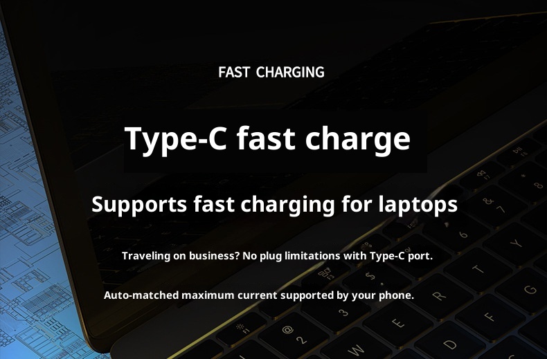 TechGlobe all'ingrosso 50000mAh 80000 Bank Ultra grande capacità alimentatore mobile per esterni originale 120W ricarica rapida Dropshipping_voghion.com