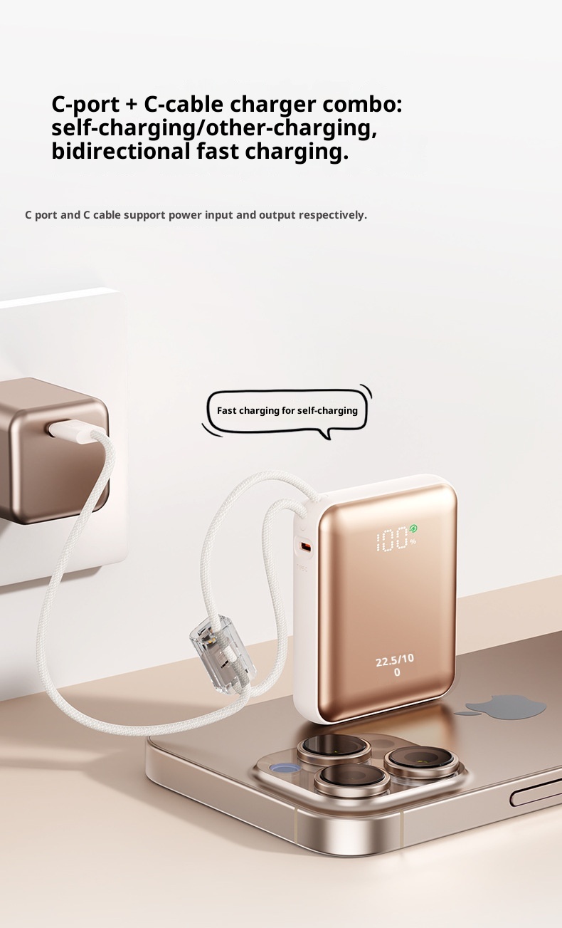 techglobe 22.5W Super Fast Charging Power Bank 10000mAh Digital Display Gift Lightweight Mini Portable Charger Custom_voghion.com