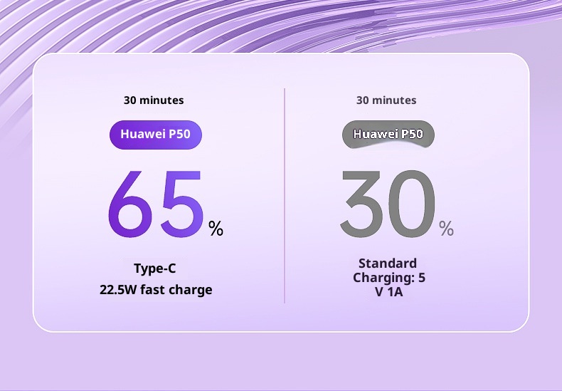 TechGlobe REMAX compatibile con 17 cavi magnetici trasparenti integrati, banca dati mobile da 10000 mAh con ricarica rapida 3C_voghion.com