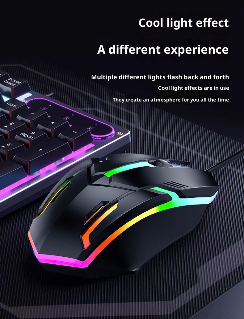 Digitex Digitex Wired Universal Laptop USB Office Business Gaming Colorful Glowing Mouse Bulk_voghion.com
