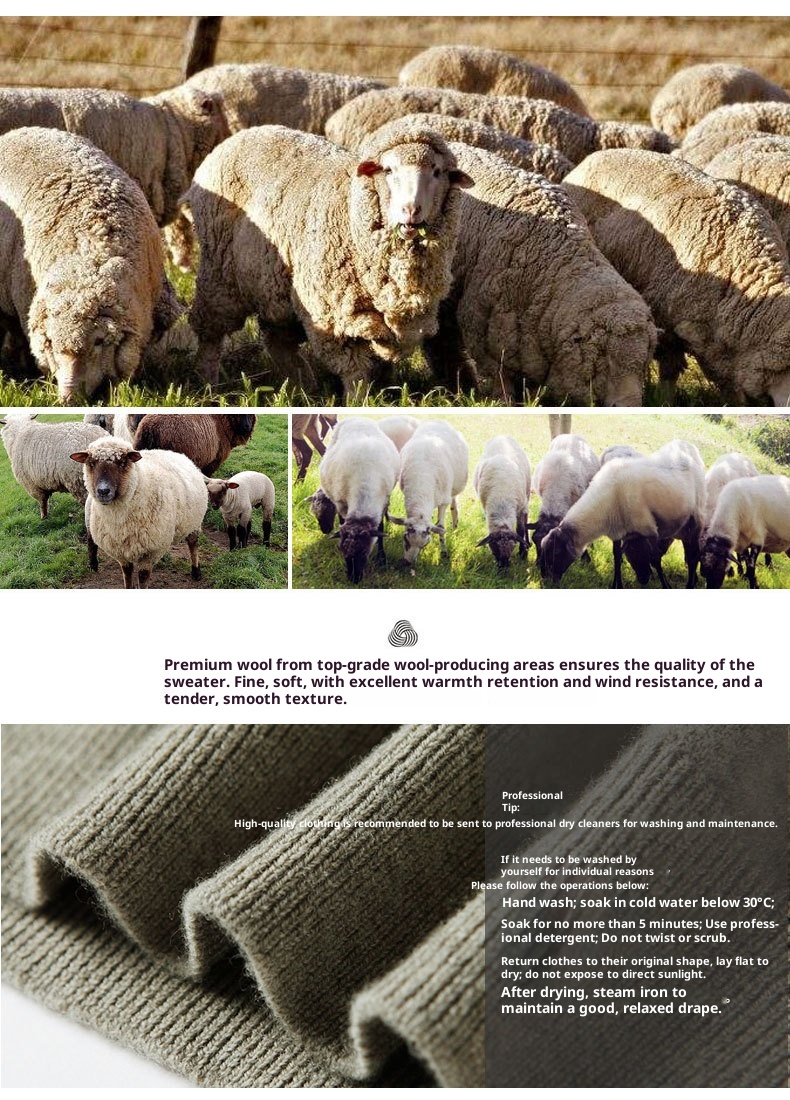 boy Boy Boy Boy 100% Pure 2025 Autumn Winter New Men's High Collar Non-Cashmere Inner Layer Merino Wool Sweater_voghion.com