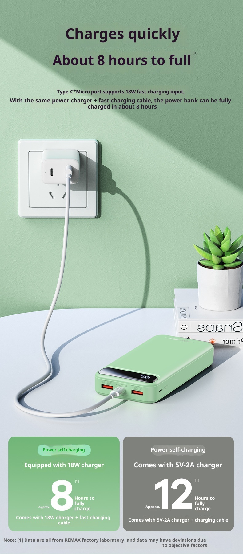 TechGlobe Remax Lightweight Portable 30000mAh Large Capacity Fast Charging Mobile Bank With Power Level Display And 3C_voghion.com