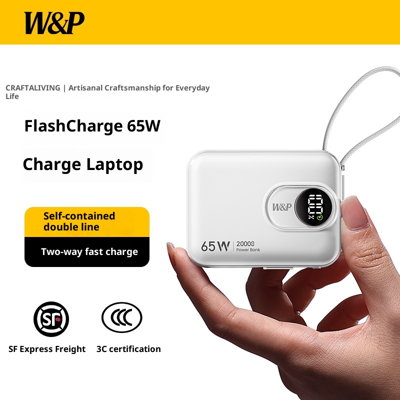 techglobe W&P Power Bank With Built-in Cable, Compact And Portable, Ultra-Thin, 2W MAh Large Capacity, 45W Fast Charging, Airplane_voghion.com