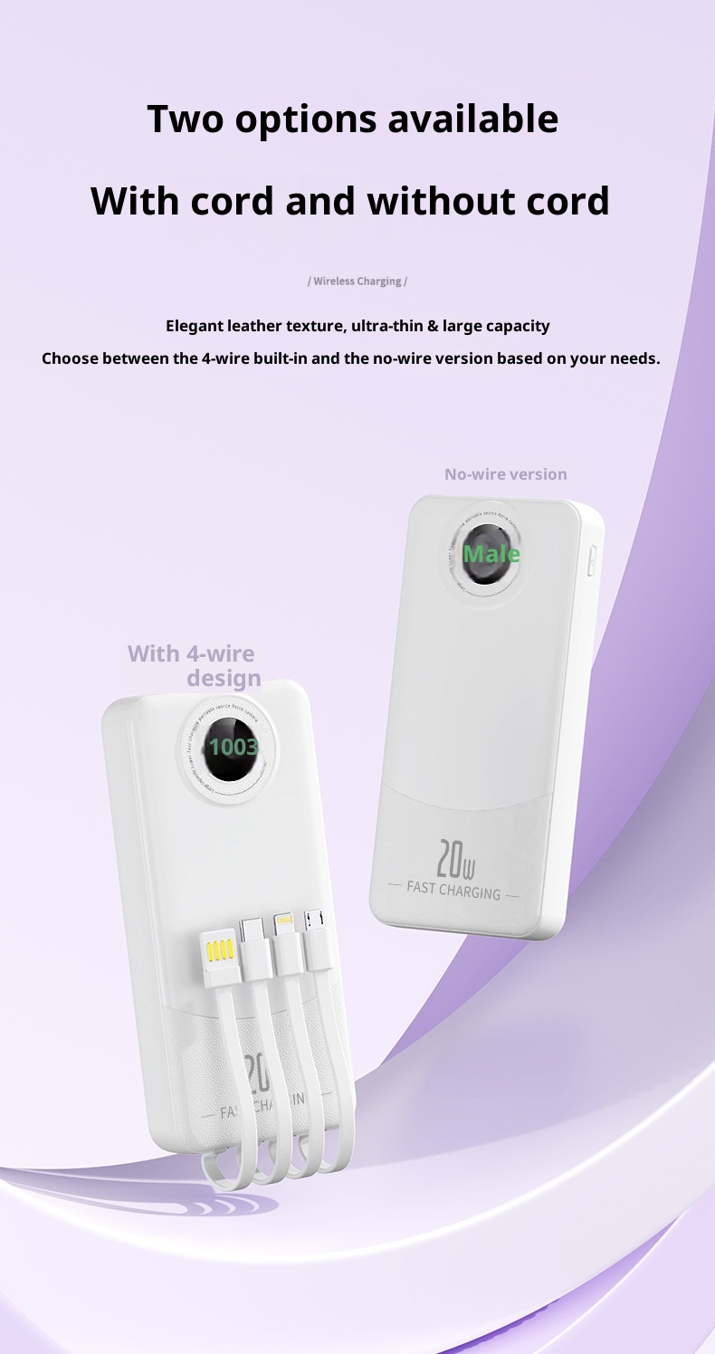 techglobe Super Fast Charging Bank With Four Cables 2000mAh Large Capacity PD 20W Custom Gift Mobile Power Supply_voghion.com