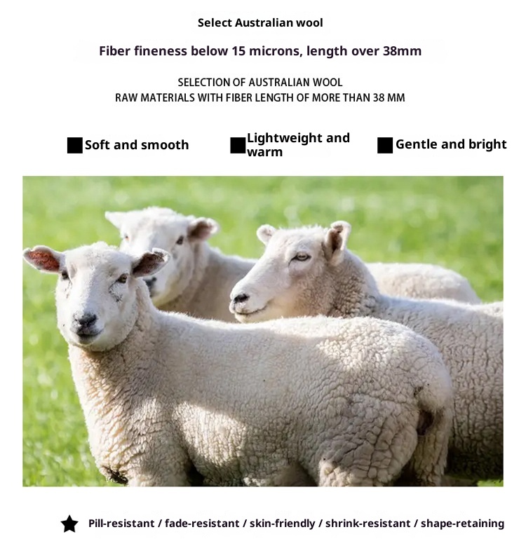 Boy Boy Boy Herren-Rollkragenpullover aus 100 % reiner Wolle, dick gefüttert, Herbst/Winter 2023, Strickpullover aus Kaschmir, lässig und vielseitig_voghion.com