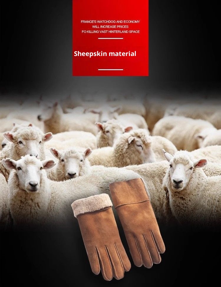 Guanti da equitazione in pelle di pecora di lana, caldi, spessi e foderati in pile, per uomo e donna_voghion.com