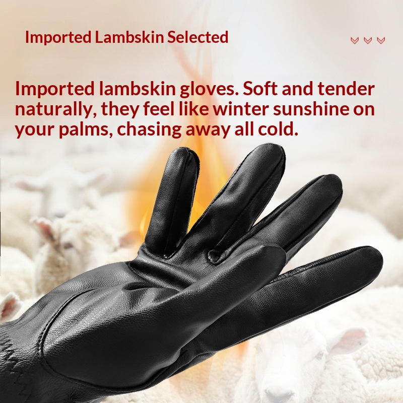 boy Boy Boy Jihua Sheepskin Men Autumn Winter Simple Cycling Warm Leather Windproof Thickened Texture Full Finger Gloves_voghion.com