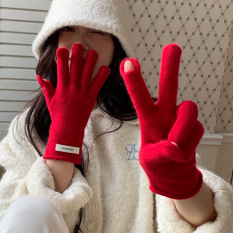 boy Boy Boy 2024 New Chinese Red Wool Knitted Long Women Winter Windproof Five-Finger Warm Cycling Gloves For Men_voghion.com