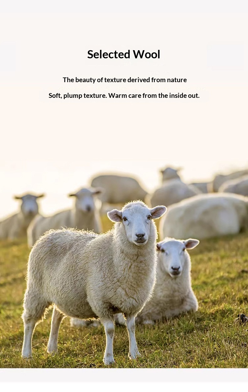 boy Boy Boy Boy Men's Half Turtleneck 100% Wool Thickened Autumn Winter New Business Casual Loose Long Sleeve Knitted Sweater_voghion.com