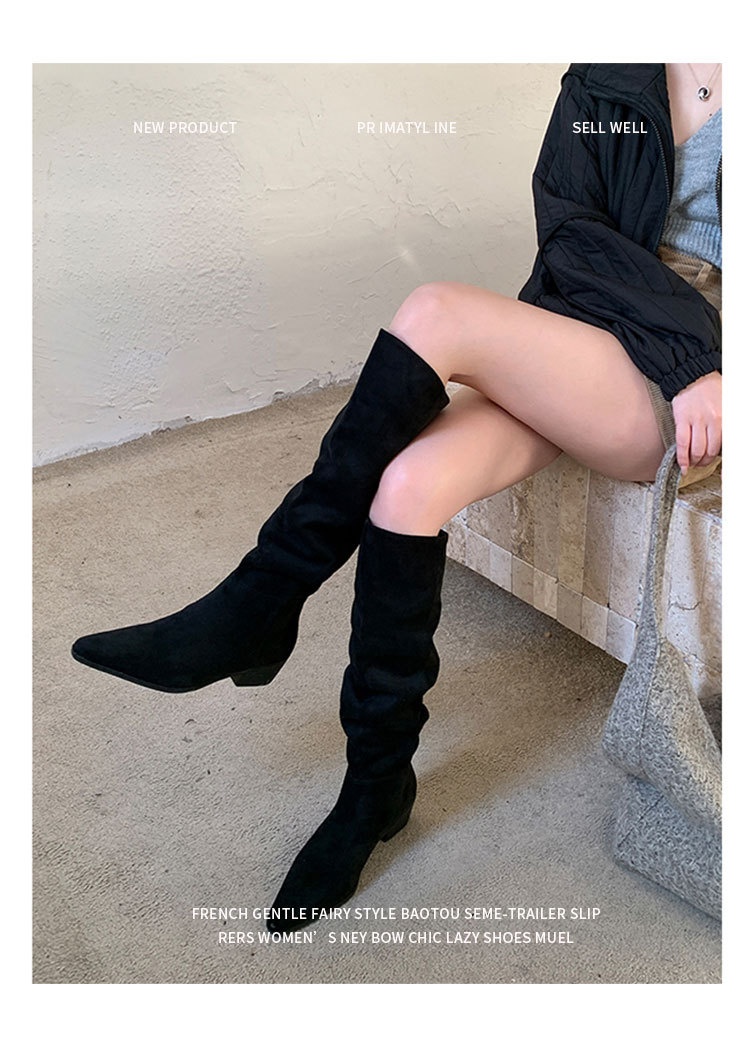 ShoeGlobe ShoeGlobe Pointed Toe Chunky Heel Pleated Slouch 2024 Autumn Winter New Veratile Mid-Heel Suede High Tube Long Boot Women'_voghion.com