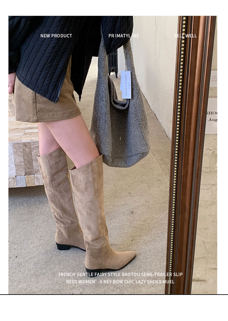 ShoeGlobe ShoeGlobe Pointed Toe Chunky Heel Pleated Slouch 2024 Autumn Winter New Veratile Mid-Heel Suede High Tube Long Boot Women'_voghion.com