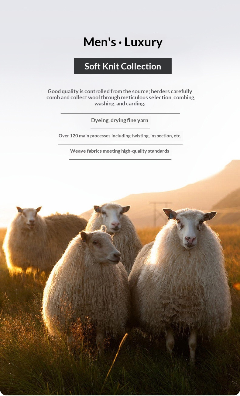 ragazzo Ragazzo Ragazzo Ragazzo Autunno Inverno Mezza Cerniera Collo Ribaltabile Maglione da Uomo Nuovo Pura Lana Ispessito Caldo Largo Casual Versatile Base Lavorata a Maglia_voghion.com