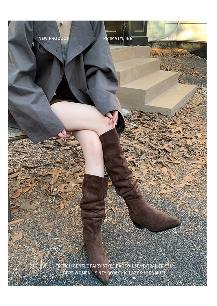 ShoeGlobe ShoeGlobe Pointed Toe Chunky Heel Pleated Slouch 2024 Autumn Winter New Veratile Mid-Heel Suede High Tube Long Boot Women'_voghion.com
