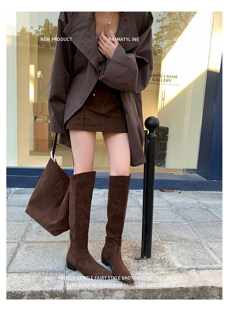 ShoeGlobe ShoeGlobe Pointed Toe Chunky Heel Pleated Slouch 2024 Autumn Winter New Veratile Mid-Heel Suede High Tube Long Boot Women'_voghion.com