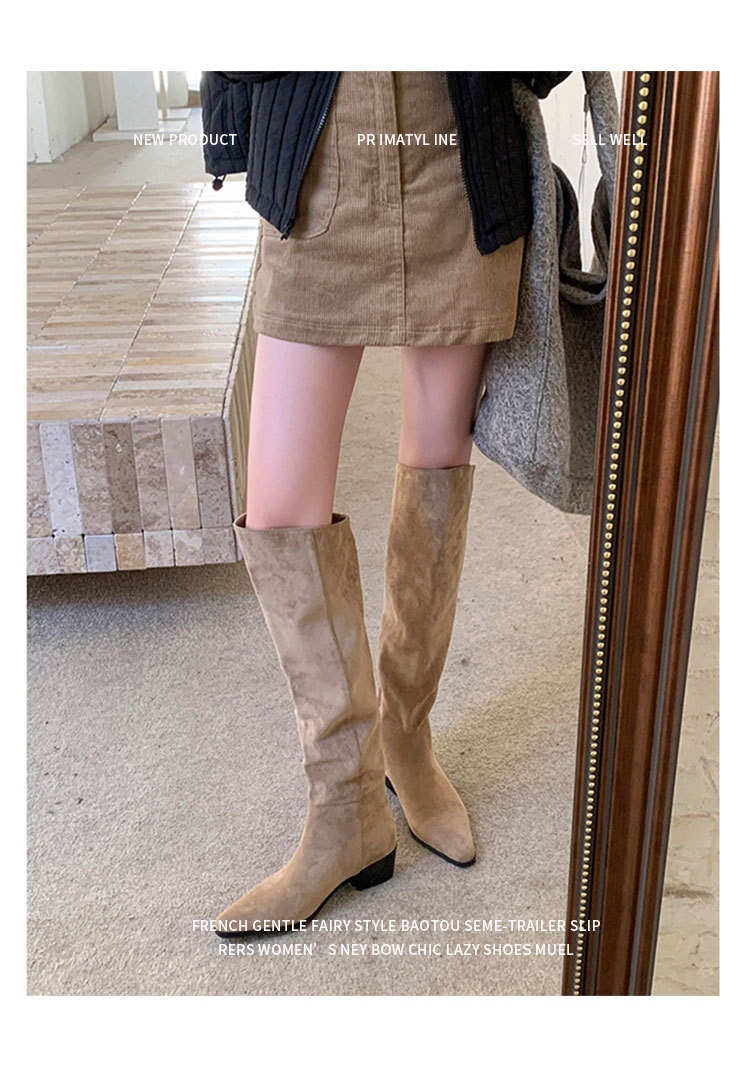 ShoeGlobe ShoeGlobe Pointed Toe Chunky Heel Pleated Slouch 2024 Autumn Winter New Veratile Mid-Heel Suede High Tube Long Boot Women'_voghion.com