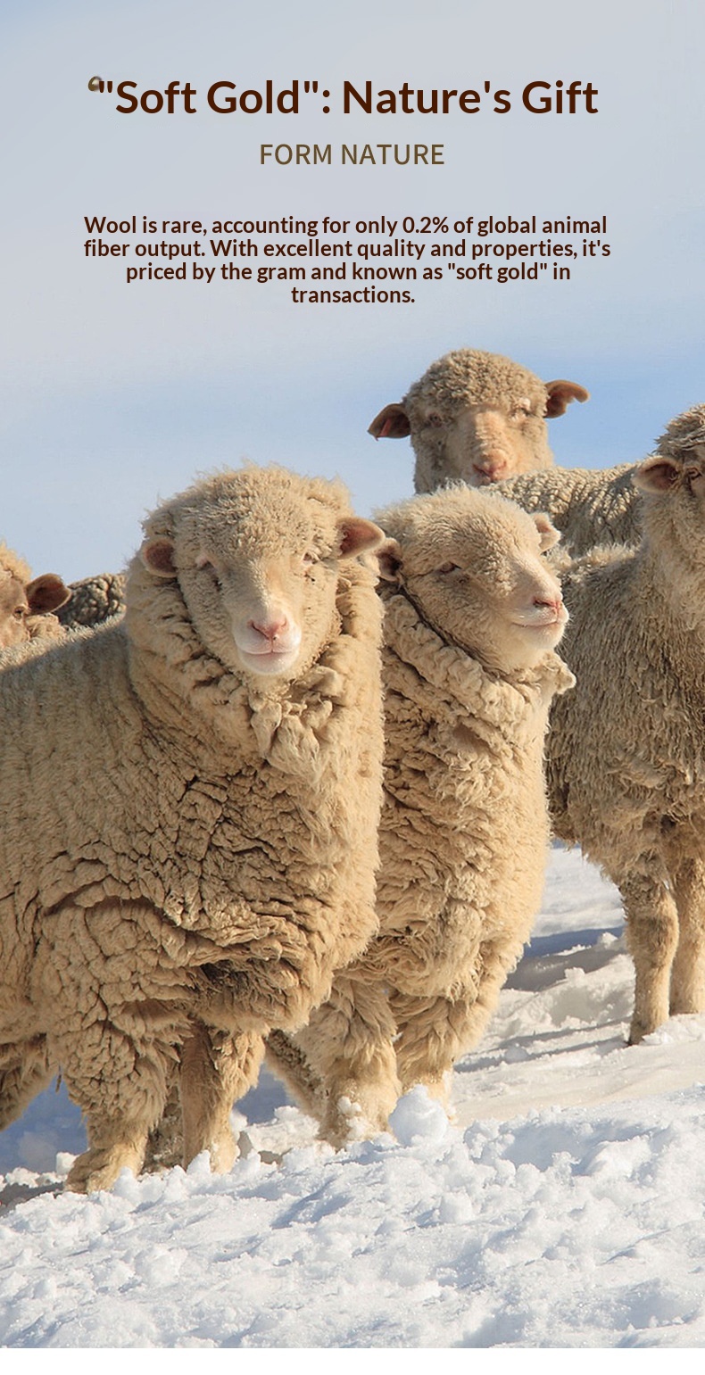 boy Boy Boy Boy Men's Wool Modal Half Turtleneck Sweater With Fleece Lining, Thickened And Warm, Simple Knitted Base Shirt_voghion.com