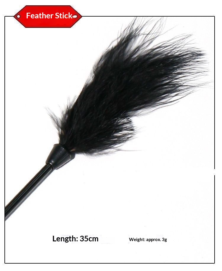 luckyqqyp SM Peluche Sexy Toys Set di Addestramento Bondage Dieci Pezzi Frusta Manette Manette per Piedi Plug Anale Punizione Provocante_voghion.com