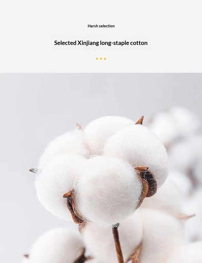 boy Boy Crew Neck Sweatshirt Without Hood Long Sleeve Promotional Shirt Printed Group Class Uniform Activity Wear Buy Get One_voghion.com