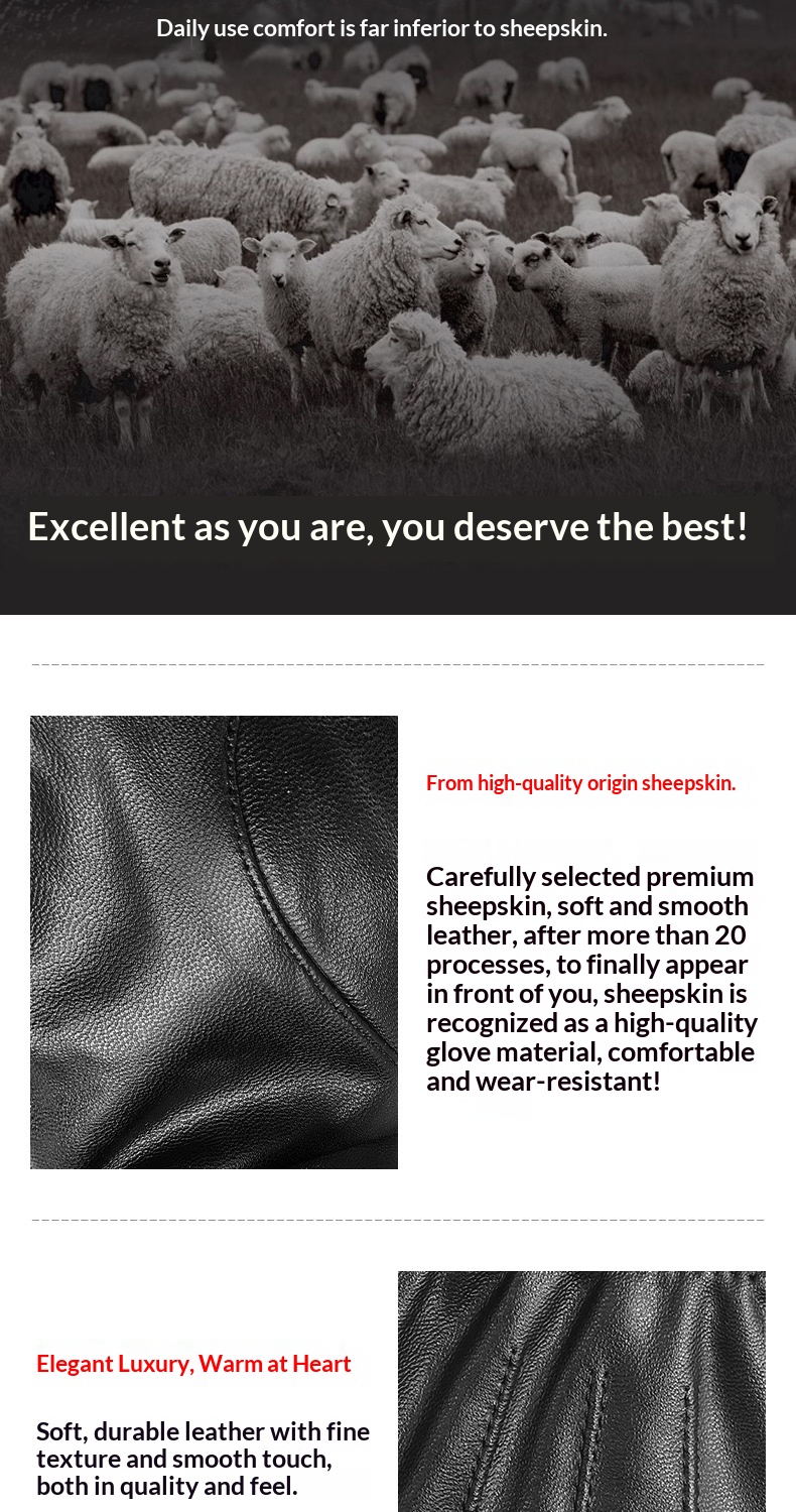 boy Boy Boy Jihua Sheepskin Men Autumn Winter Simple Cycling Warm Leather Windproof Thickened Texture Full Finger Gloves_voghion.com