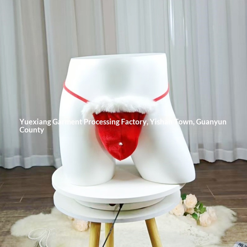 Eros Lab Commercio Estero Intimo Sexy per Giochi di Ruolo Natalizio da Uomo Europeo e Americano all'Ingrosso_voghion.com