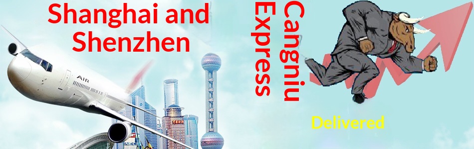 boy Boy Boy DONO Physiological Pants Male Dog Diapers Disposable Supplies Medium Pet Urine Pads_voghion.com