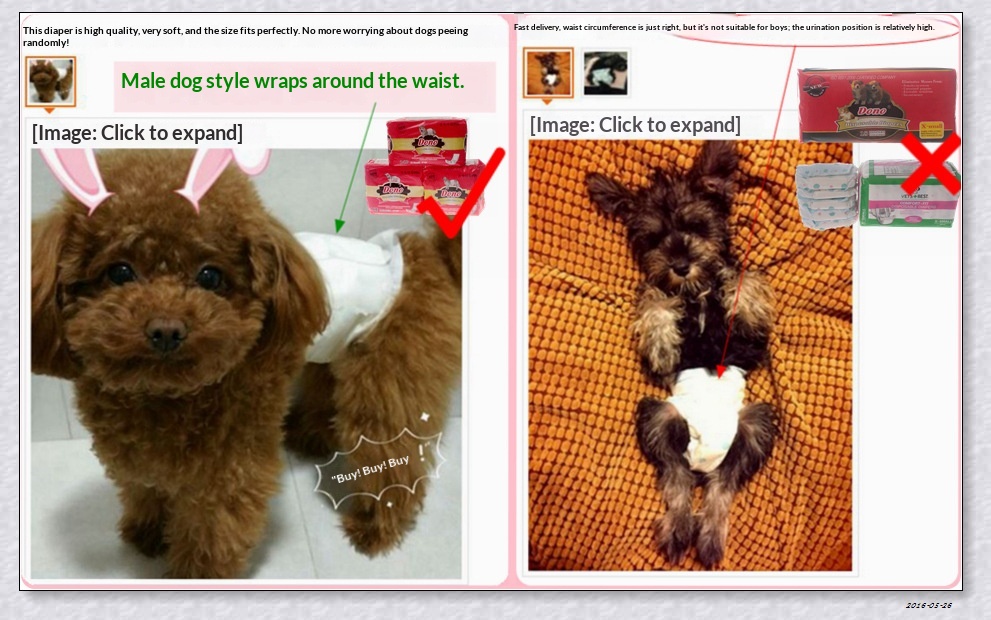 boy Boy Boy DONO Physiological Pants Male Dog Diapers Disposable Supplies Medium Pet Urine Pads_voghion.com