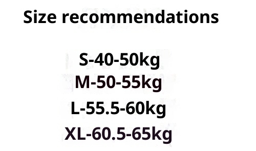 Conjunto de duas peças feminino ChicShe 2025, casual, simples, com gola dobrável, manga comprida e modelagem solta, ideal para o outono. Combina com saia midi versátil._voghion.com