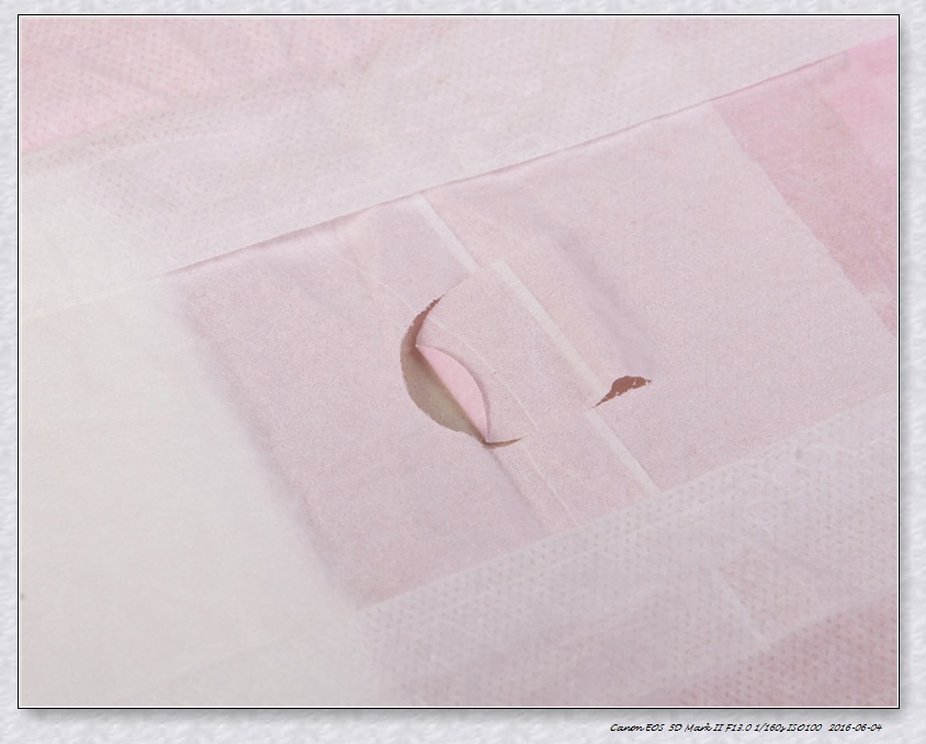 boy Boy Boy DONO Physiological Pants Male Dog Diapers Disposable Supplies Medium Pet Urine Pads_voghion.com