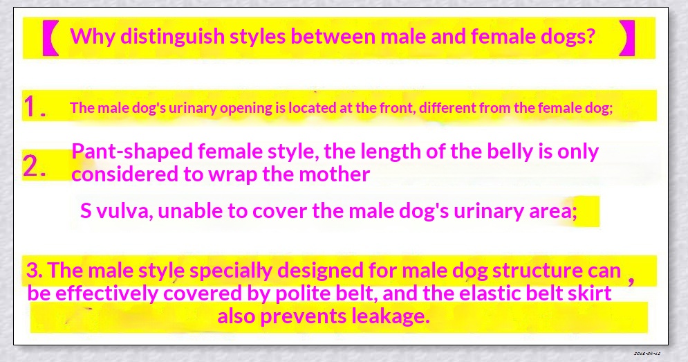 boy Boy Boy DONO Physiological Pants Male Dog Diapers Disposable Supplies Medium Pet Urine Pads_voghion.com