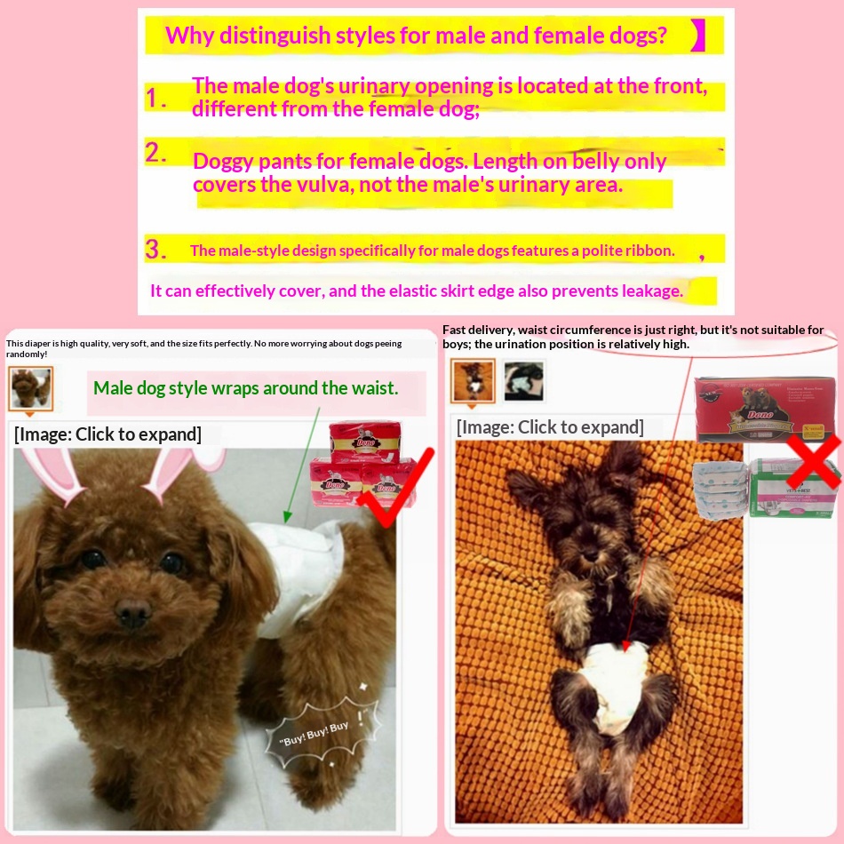 boy Boy Boy DONO Physiological Pants Male Dog Diapers Disposable Supplies Medium Pet Urine Pads_voghion.com