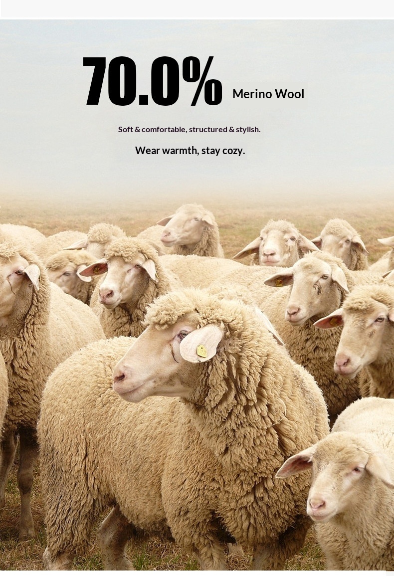 boy Boy Boy 2025 Autumn Winter New Men Mid-Length Over-the-Knee Sheep Wool Woolen Trench Coat Korean Style Trendy_voghion.com