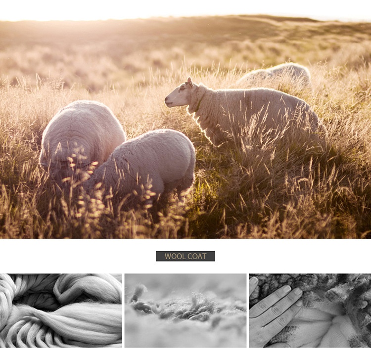 boy Boy Boy High-End 100% Pure Wool Double-Sided Woolen Men's Autumn And Winter New Suit Business Casual Solid Color Jacket_voghion.com