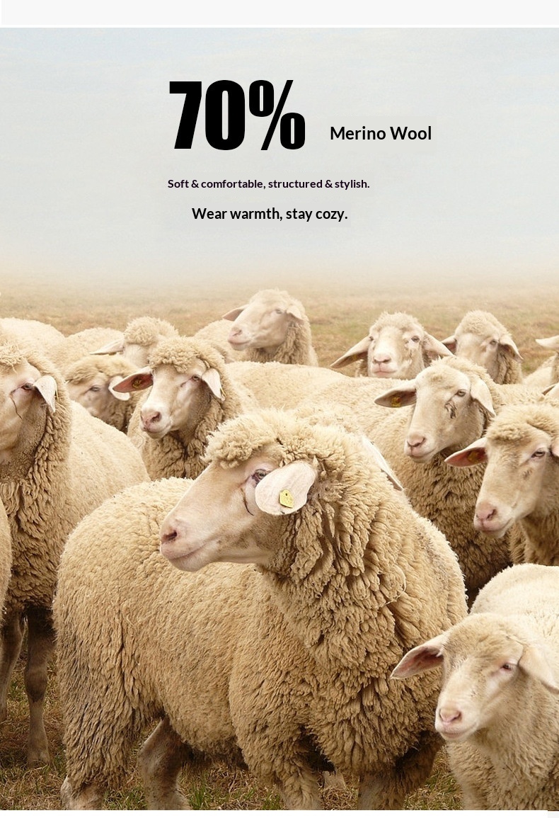 boy Boy Boy Men Autumn Winter New Korean Style Trendy Short High-End Wool Men's Jacket Top Coat_voghion.com