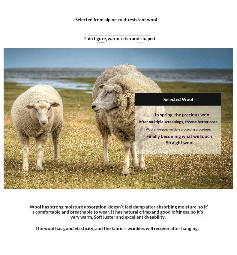 boy Boy Business Casual 2023 Autumn Winter Short Suit Solid Color Lapel Middle-aged Gentleman Wool Men's Coat_voghion.com