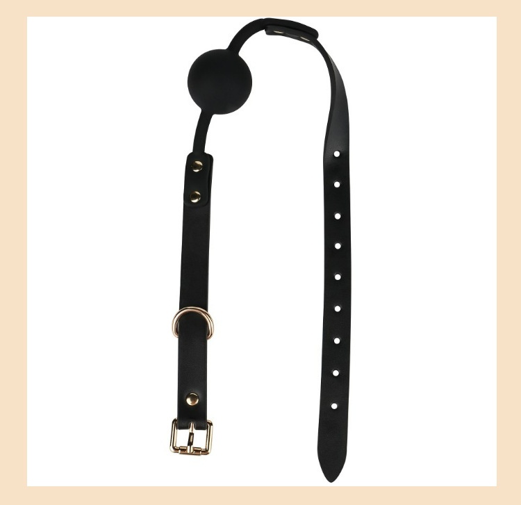 Eros Lab Sexy SM Training Female Passion Bondage Props Leather Collar Traction Adult Alternative Binding Ten-Piece Set_voghion.com