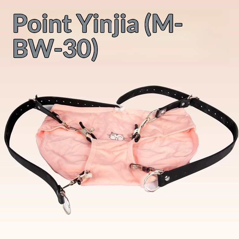 Eros Lab Klitoris-Trainingsgerät für verschiedene Punkte, Schamlippen-Nippelklemme, Produkte für erwachsene Frauen, Spielzeug_voghion.com