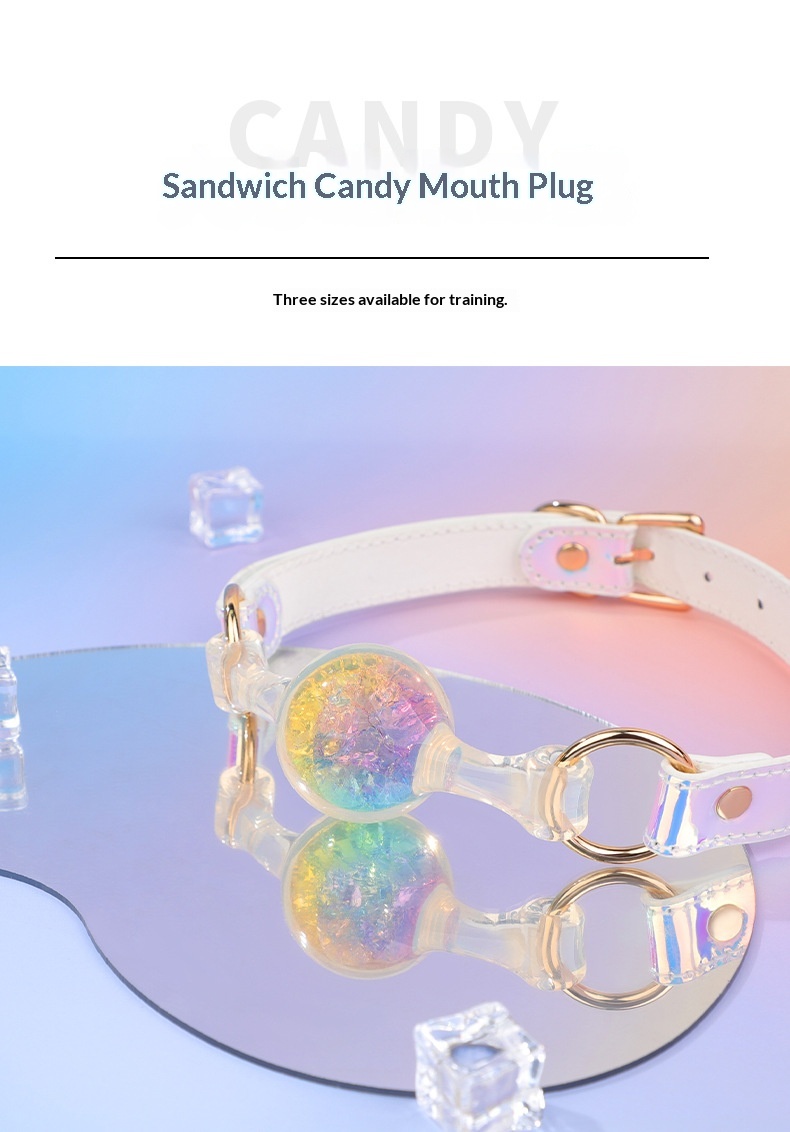 Eros Lab Platinum Silicone Aurora Ball SM Props Training Mouth Plug Tools Binding And Torture Female Sex Toys_voghion.com