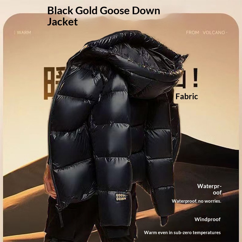 Erkek Siyah Altın Kaz %90 Karantina Kış Kapüşonlu Kısa Ceket Erkek Sıcak Mont İş Giysisi Kuş Tüyüyle Doldurulmuş_voghion.com