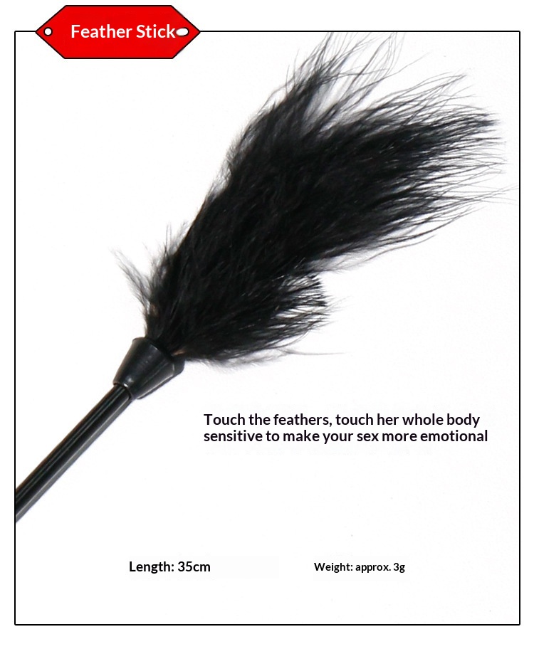 Eros Lab SM Bondage Set Bestrafungsrequisiten Nippelklemmen Handschellen Halsband Augenbinde Federstab Mund Sexspielzeug für Erwachsene_voghion.com