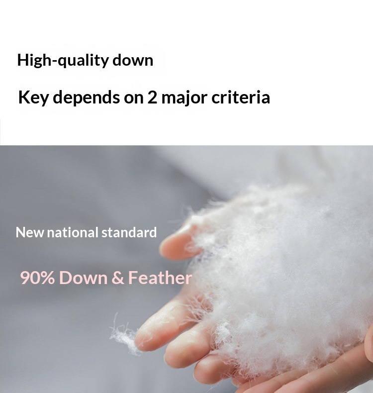 Erkek Çocuk Ceketi Dik Yaka Kapüşonlu Kaz Tüyü Soğuk Geçirmez Sıcak Üst 2025 İş Gündelik Kışlık Giysiler_voghion.com