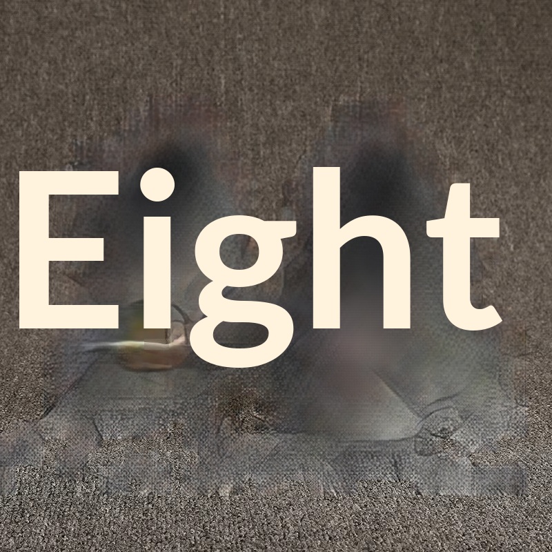 Chaussures montantes ShoeGlobe en cuir véritable à semelle épaisse pour femmes, doublées polaire, pour l'hiver, rehaussantes, inspirées par Martin, une célébrité d'Internet._voghion.com