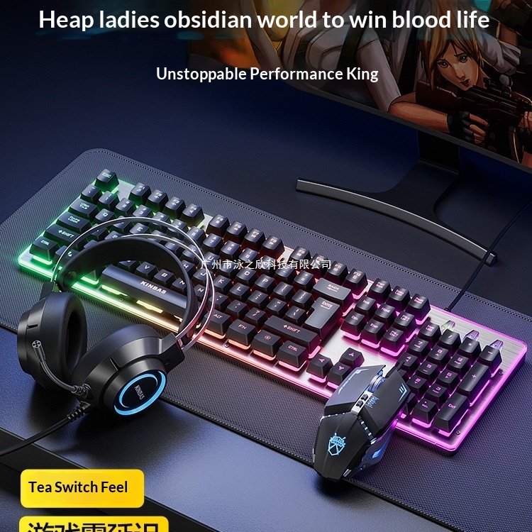 Digitex Wrangler Mechanisches Tippgefühl Kabelgebundenes/Kabelloses Gaming-Set für Computer, E-Sport, Tastatur, Maus und Headset (3-teilig)_voghion.com