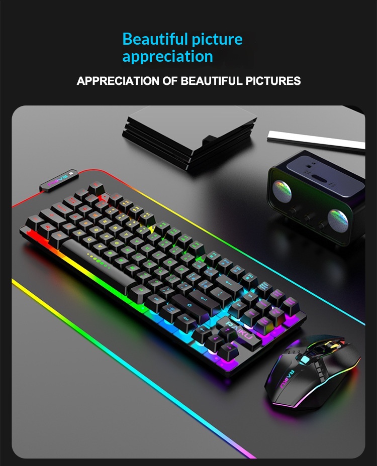 Digitex Digitex RAIKU R905 Wireless Charging Gaming Illuminated Keyboard And Mouse Set_voghion.com