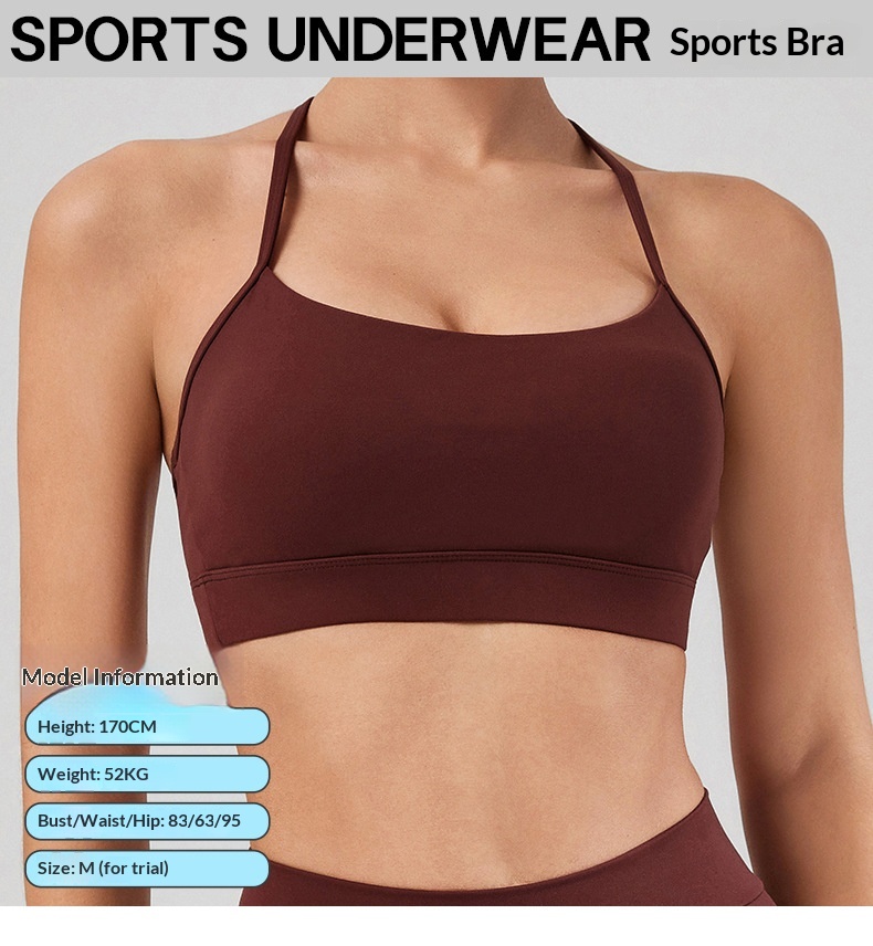 Surge European And American Y-Back Yoga Wear For Women, Fitness Running Outdoor Shockproof Tight Bra Quick-Dry Sports_desvips.com