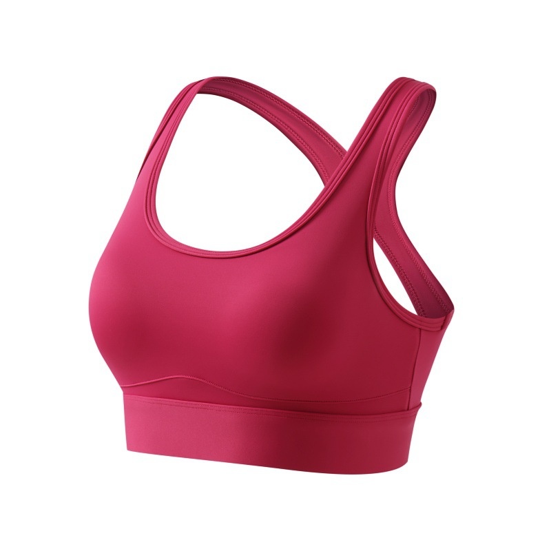 Surge Surge Cross-Border High-Strength Beauty Back One-Piece Sports Bra Push-Up Shockproof Yoga Running Fitness_desvips.com