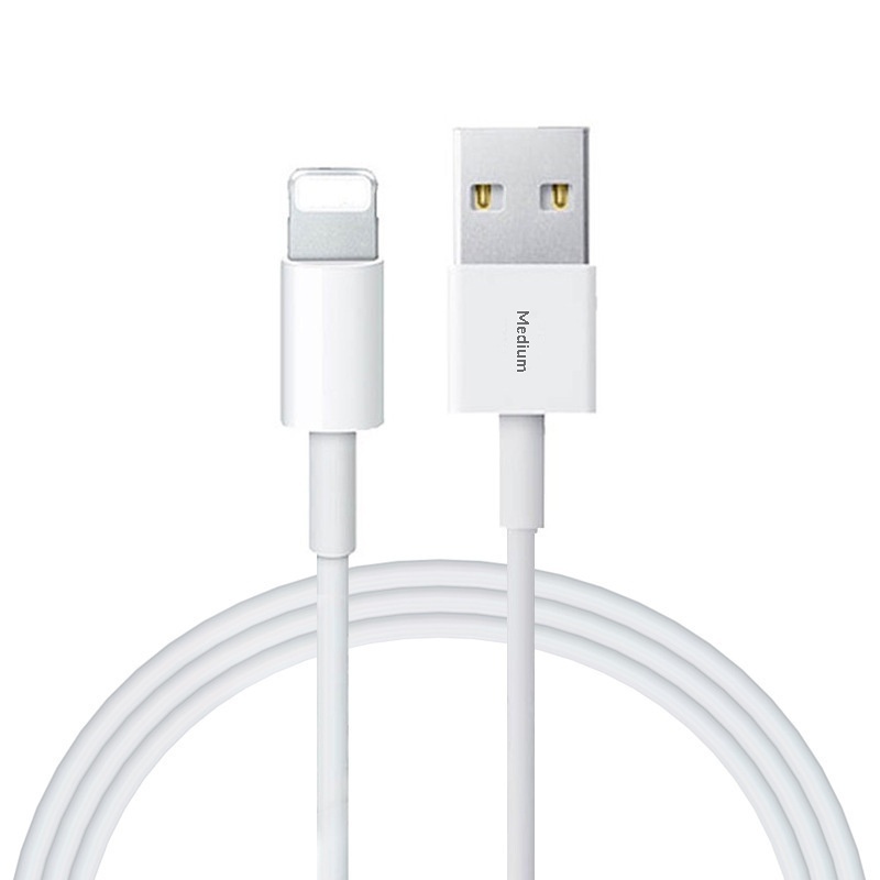Câble de données et de charge rapide TechCore compatible avec iPhone 6, 7, 8, X, 8 Plus et 11 (1 m)._voghion.com