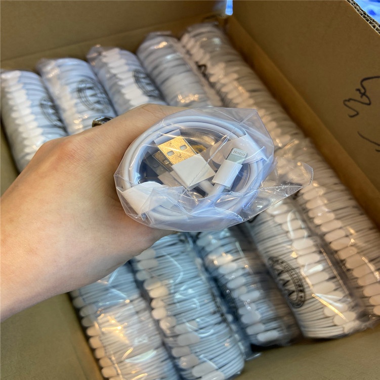 Câble de données et de charge rapide TechCore compatible avec iPhone 6, 7, 8, X, 8 Plus et 11 (1 m)._voghion.com