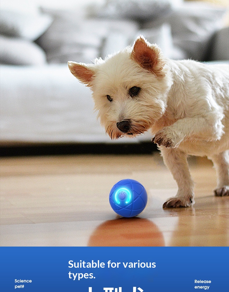 Elektronická inteligentní míč hračka pro psy nabíjecí_voghion.com