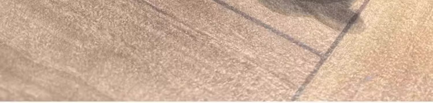 Pet Simulation Electric Automatic Teasing Wand Cat Self-Entertainment Boredom Relief Vibrating Mouse Toy_voghion.com