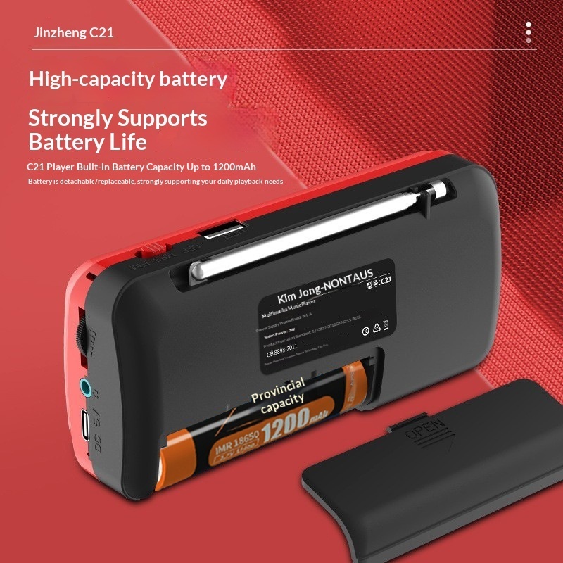 Jinzheng C21 Mini Bluetooth Portable Slot U Disk Radio Small Speaker Battery Detection Dual Card_voghion.com
